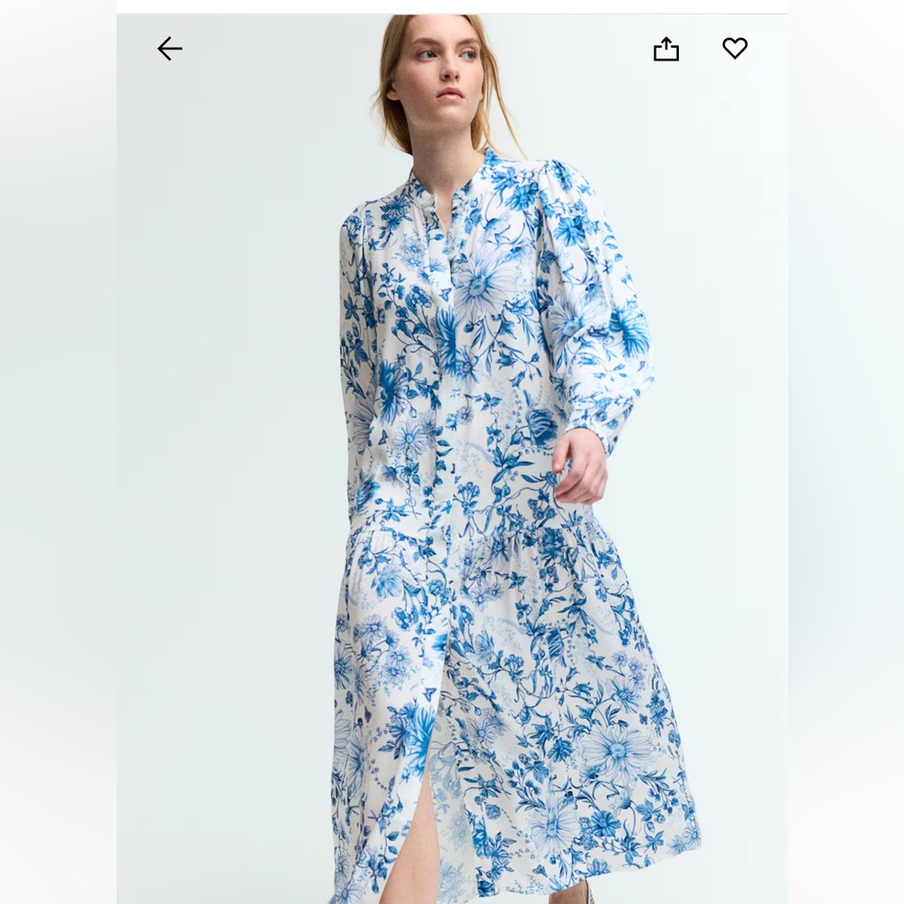 Floral Blue and White Dress